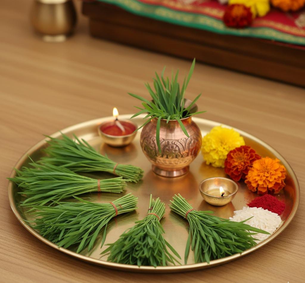 GAGAMINI NATURAL – Fresh Durba Grass (For Puja & Havan)