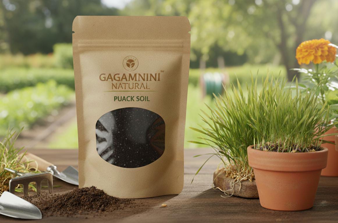 GAGAMINI NATURAL – Premium Black Soil
