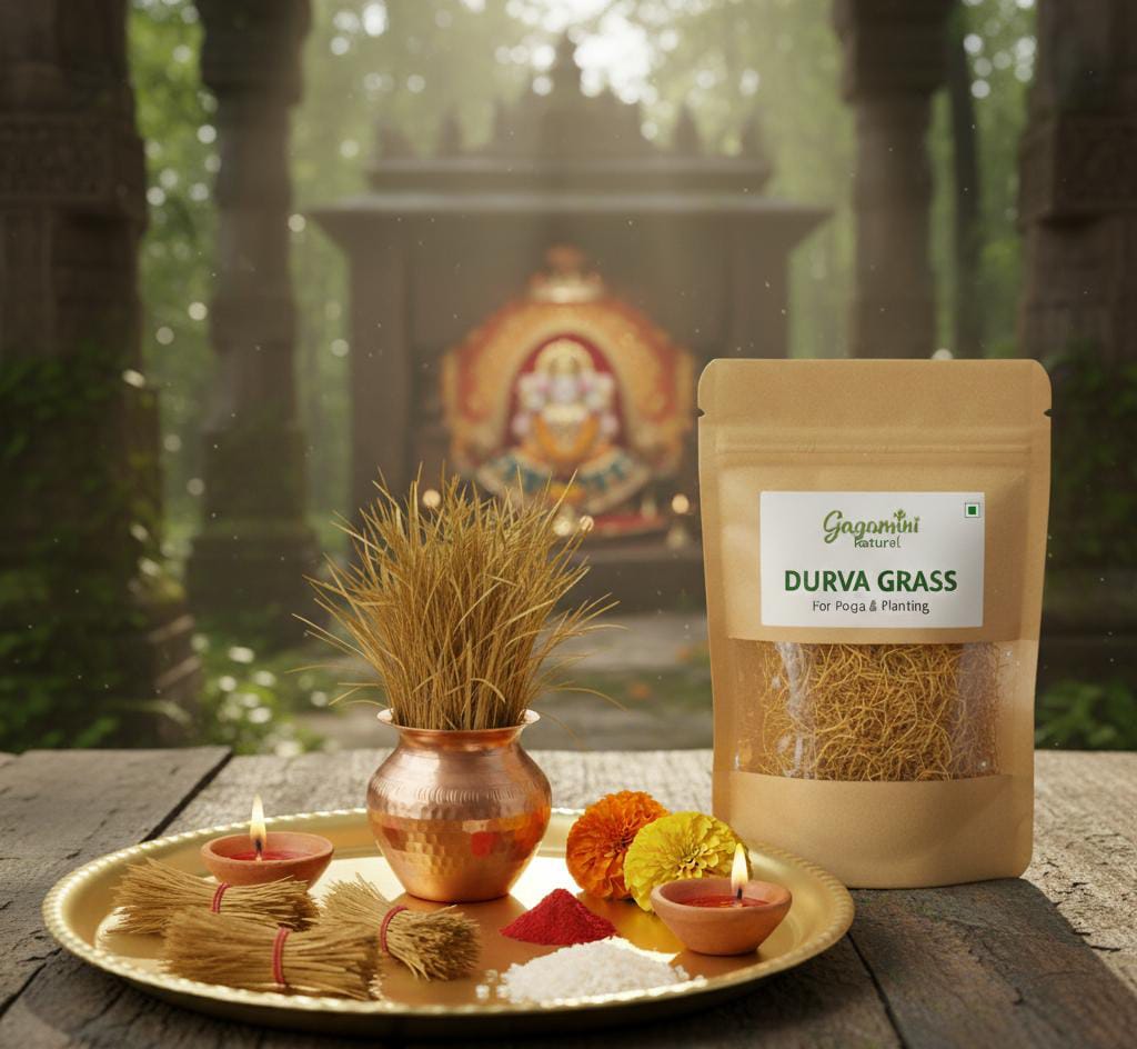 GAGAMINI NATURAL – Fresh Durba Grass (For Puja & Havan)