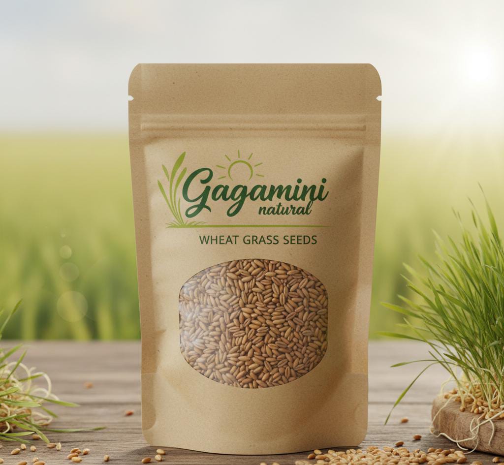 GAGAMINI NATURAL – Premium Wheatgrass Seeds