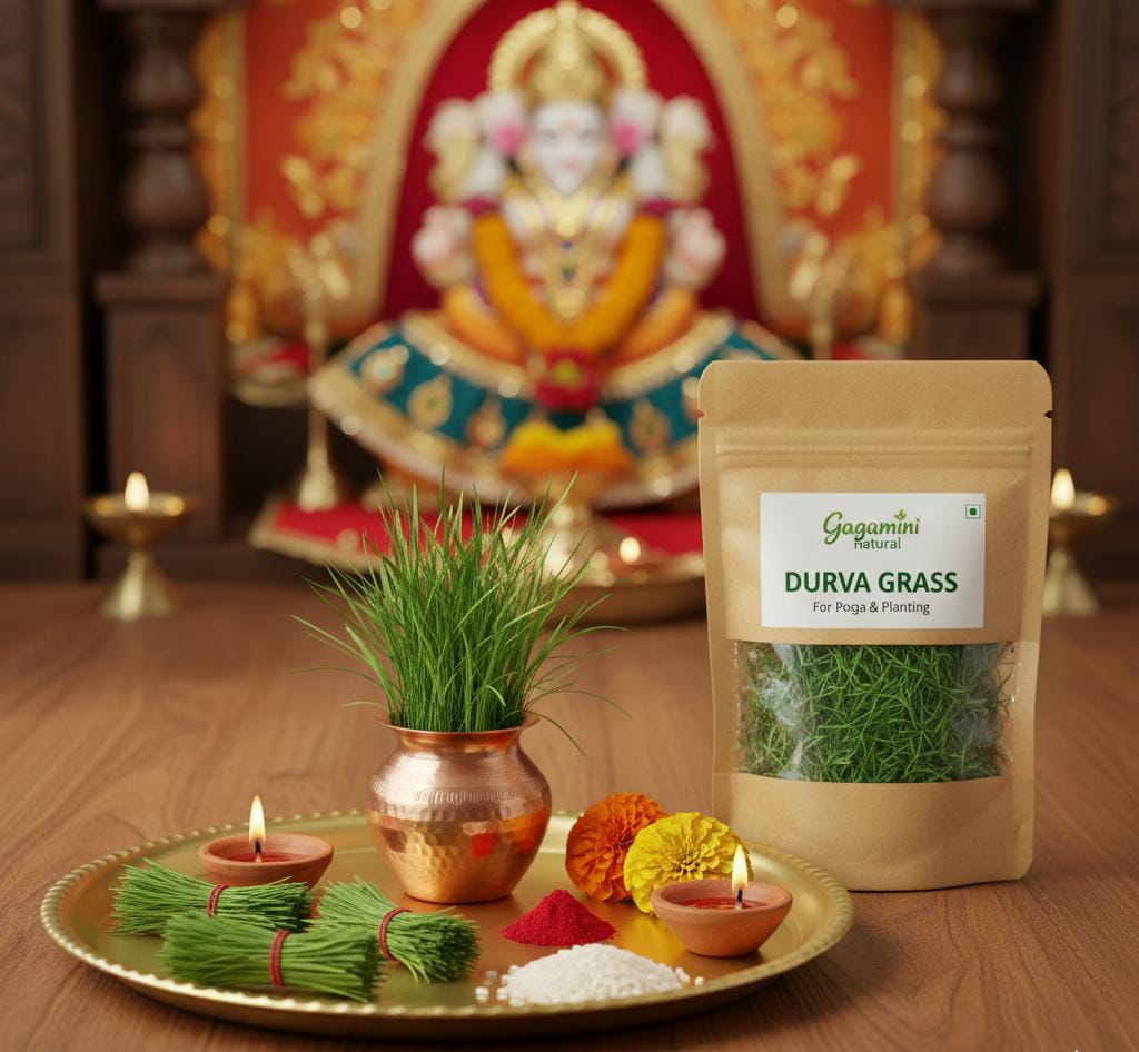 GAGAMINI NATURAL – Fresh Durba Grass (For Puja & Havan)